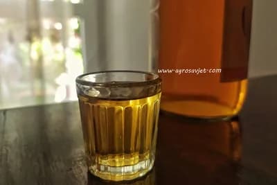 Šljivovica iz Republike Srpske najbolja na svijetu