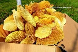 Saće povećava dejstvo meda nekoliko puta!