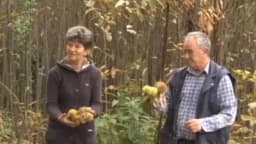 Dedu, koji je u Srbiji pokrenuo neobičan biznis, svi sumnjičavo gledaju - On tvrdi da će uspjeti