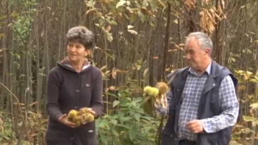 Dedu, koji je u Srbiji pokrenuo neobičan biznis, svi sumnjičavo gledaju - On tvrdi da će uspjeti