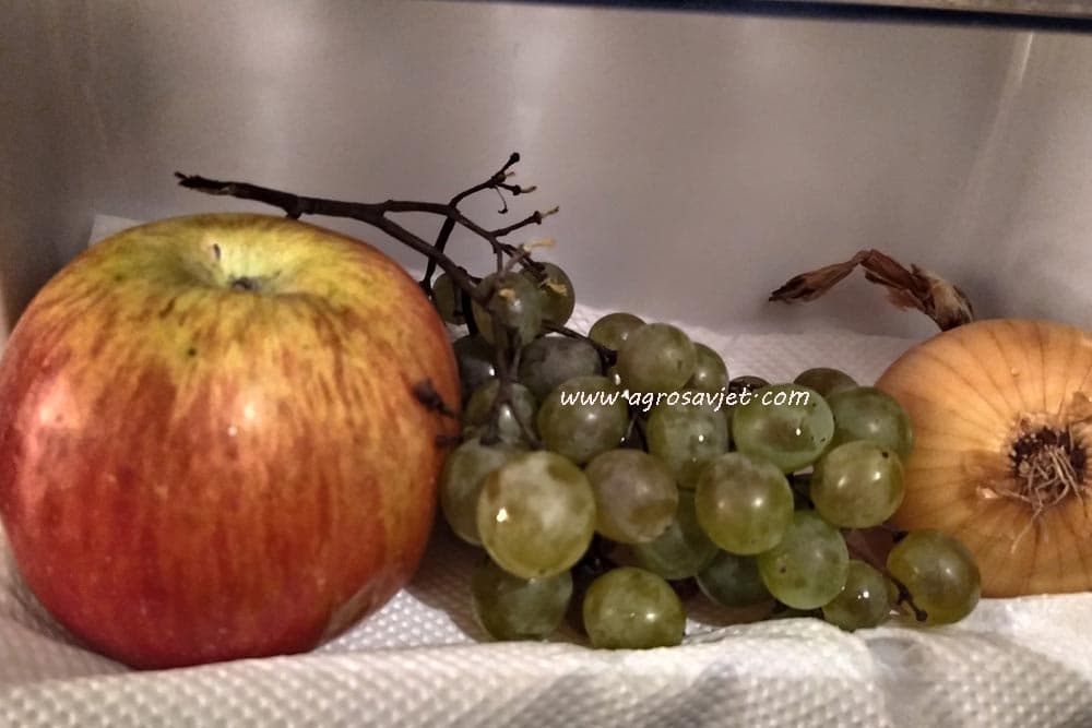 6 namirnica za zdravu štitnu žlijezdu