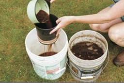 Ovo su tri NAJBOLJA PRIRODNA ĐUBRIVA za baštu koja možete sami da proizvedete