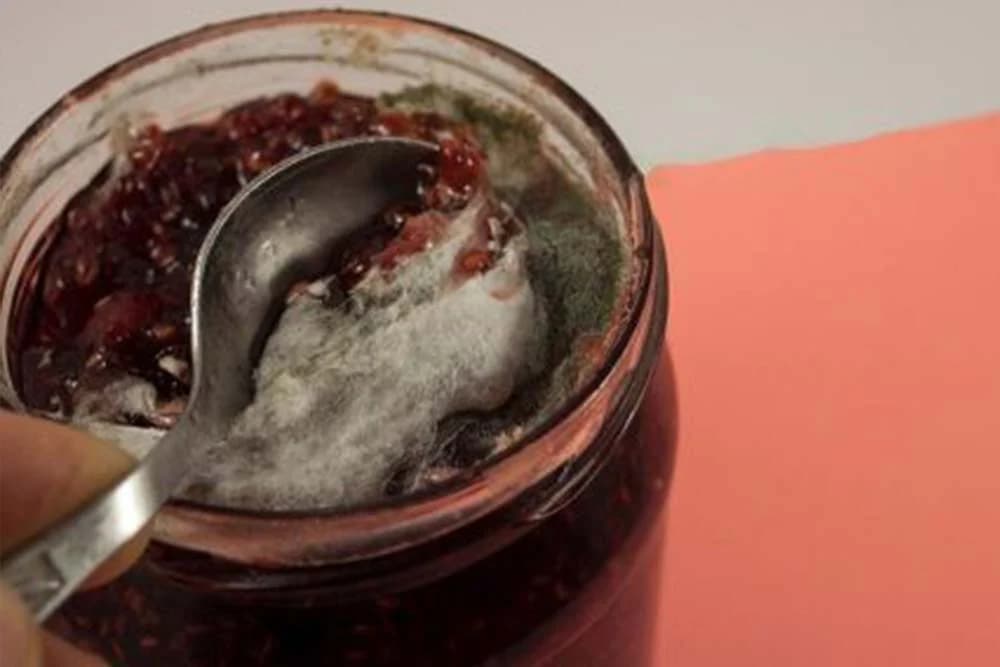 Plijesan