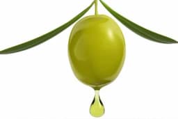 Zašto bi ujutru trebalo popiti kašičicu maslinovog ulja