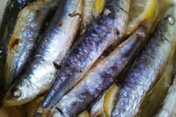Napravite domaću sardinu punu vitamina
