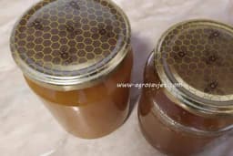 Zbog smanjenog prinosa, cijena meda u Srbiji skočila više od 100 odsto