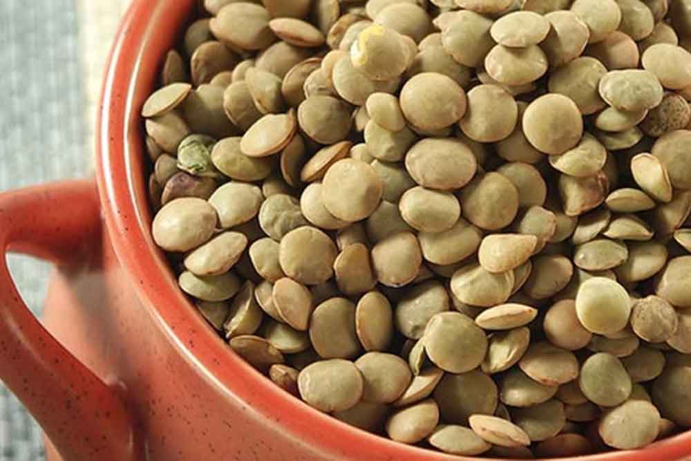 Sočivo - Prava riznica zdravlja, ali ove osobe ne smiju da ga konzumiraju!