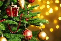 Ovako će vaša jelka ostati svježa i mirišljava duže vrijeme