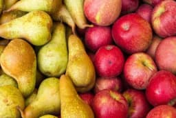 Određivanje momenta berbe kod pojedinih voćnih vrsta