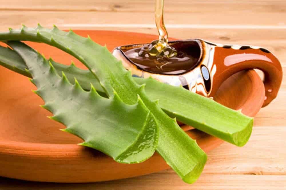 Moćni lijek od aloje i meda za jačanje organizma