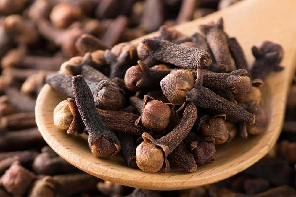 Klinčić za zubobolju