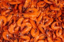 Škampi i Gambori: Morska delicija izuzetne nutritivne vrijednosti