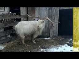 Etno Selo Stanišići