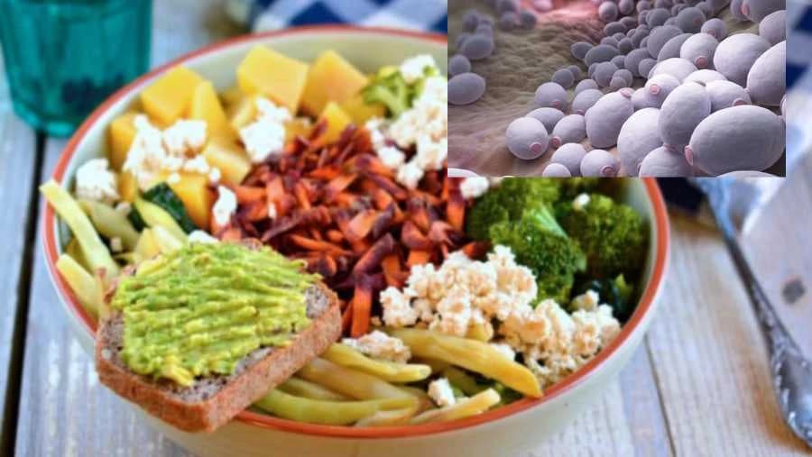 Ishrana protiv bakterije kandide