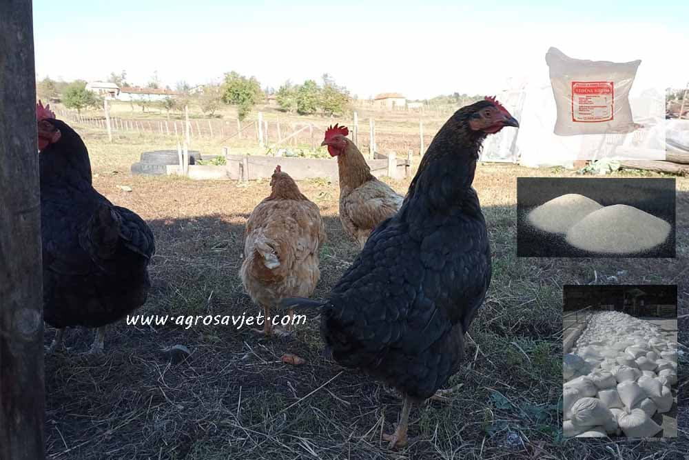 Nadoknadite nedostatak minerala kod živine