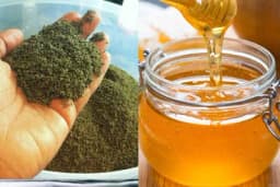 SJEME KOPRIVE I MED - Izuzetan lijek za anemiju i jačanje imuniteta /RECEPT/