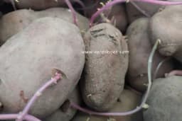 Prednosti naklijavanja krompira