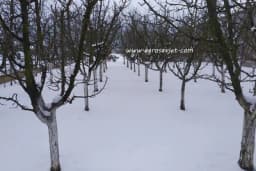 Niske temperature tokom marta pogodne za voćnjake