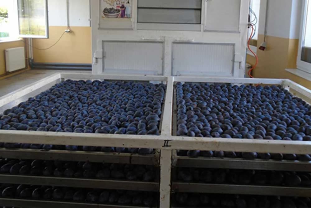 Modrička OPZ Tarevci razvija plasteničku proizvodnju i želi brendirati proizvode od šljiva - U agro-biznis centar uloženo 1,1 mil KM