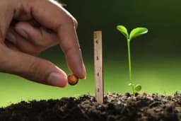 Dubina sjetve povrtarskih biljaka