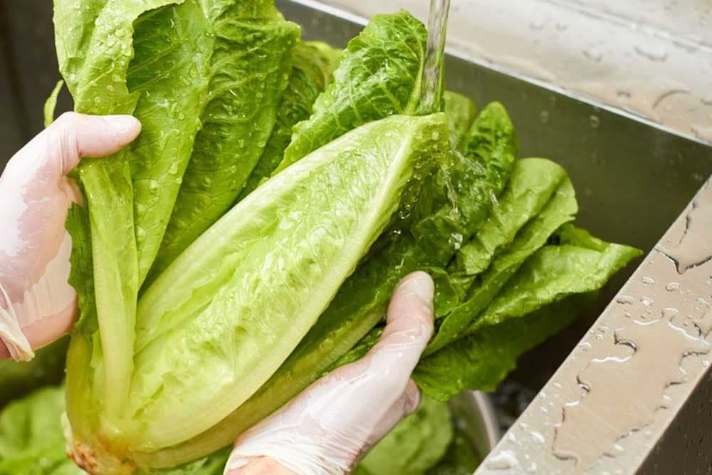 Sačuvajte zelenu salatu