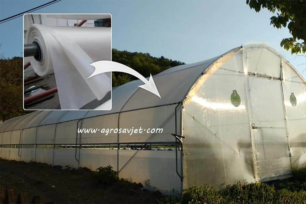 Folija za plastenik