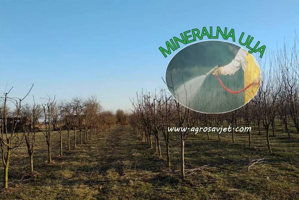 Mineralna ulja