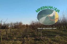 Mineralna ulja - Sada je pravo vrijeme da zaštitite svoje voće