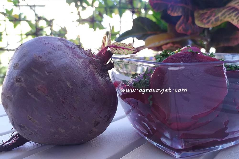 Salata od cvekle
