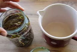 VRBIN SOK - Podstiče rast i ukorijenjivanje biljaka