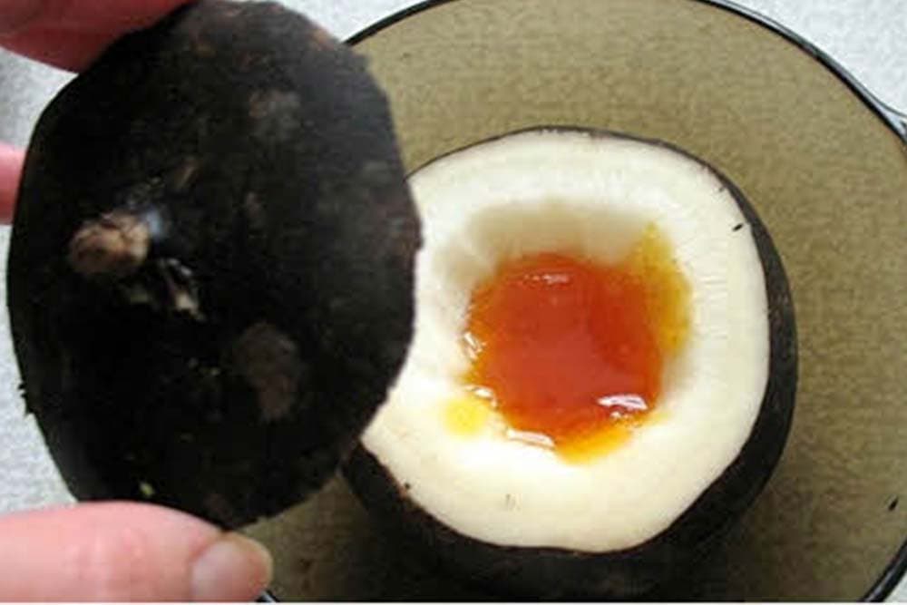 Sok od crne rotkve i meda