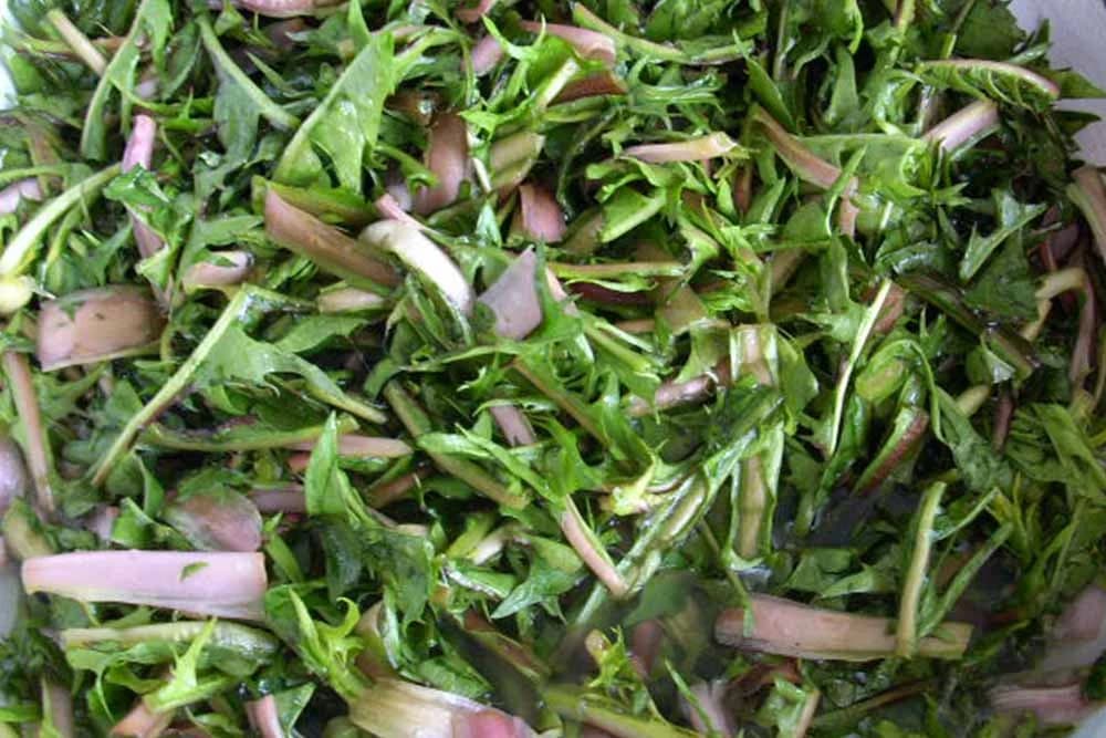 Listovi maslačka