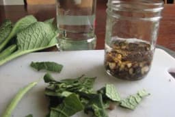 TINKTURA OD GAVEZA - Neprevaziđena u liječenju ČUKLJEVA /RECEPT/