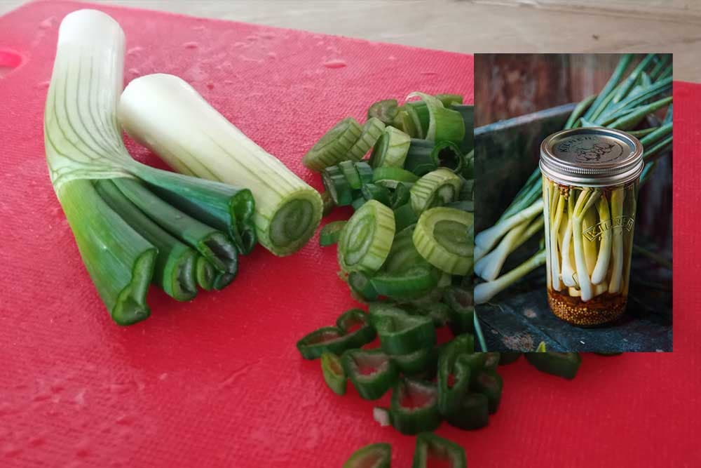 UKISELJENI MLADI LUK