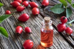 Ulje ploda divlje ruže - Efikasno za tretiranje ožiljaka, opekotina i oštećene kože!