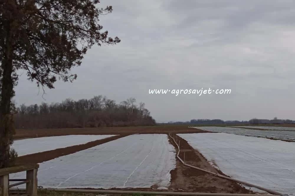 Agrotekstil