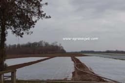 Agrotekstil kao zaštita biljaka od temperaturnih kolebanja