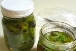 KOPRIVIN "MED" - Idealan za poboljšanje krvne slike