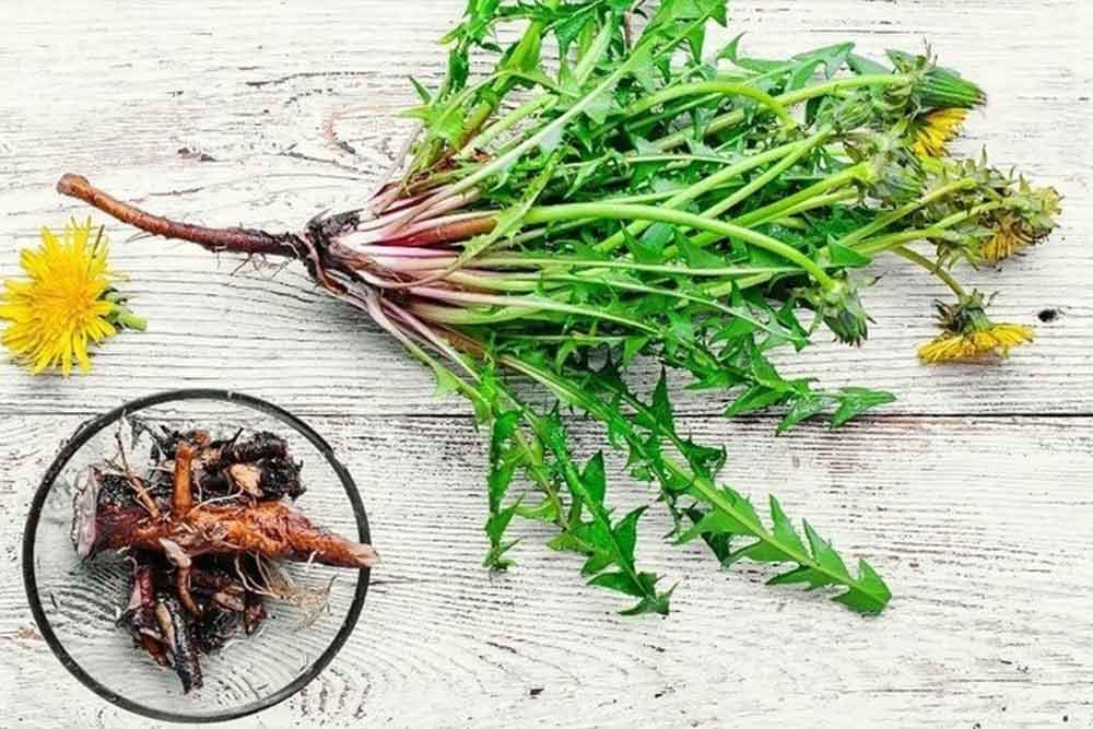 8 recepata koji smanjuju nivo šećera u krvi