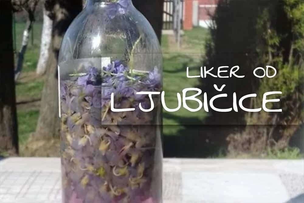 Liker od ljubičice