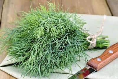 KOPAR (MIROĐIJA) – Manje poznat prirodni antibiotik