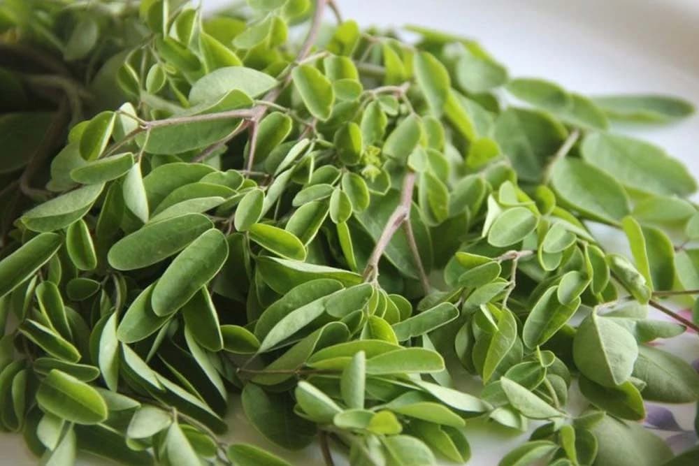Moringa
