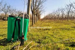 Bakrom prskati voćke prije kretanja vegetacije - Evo zašto i kako!
