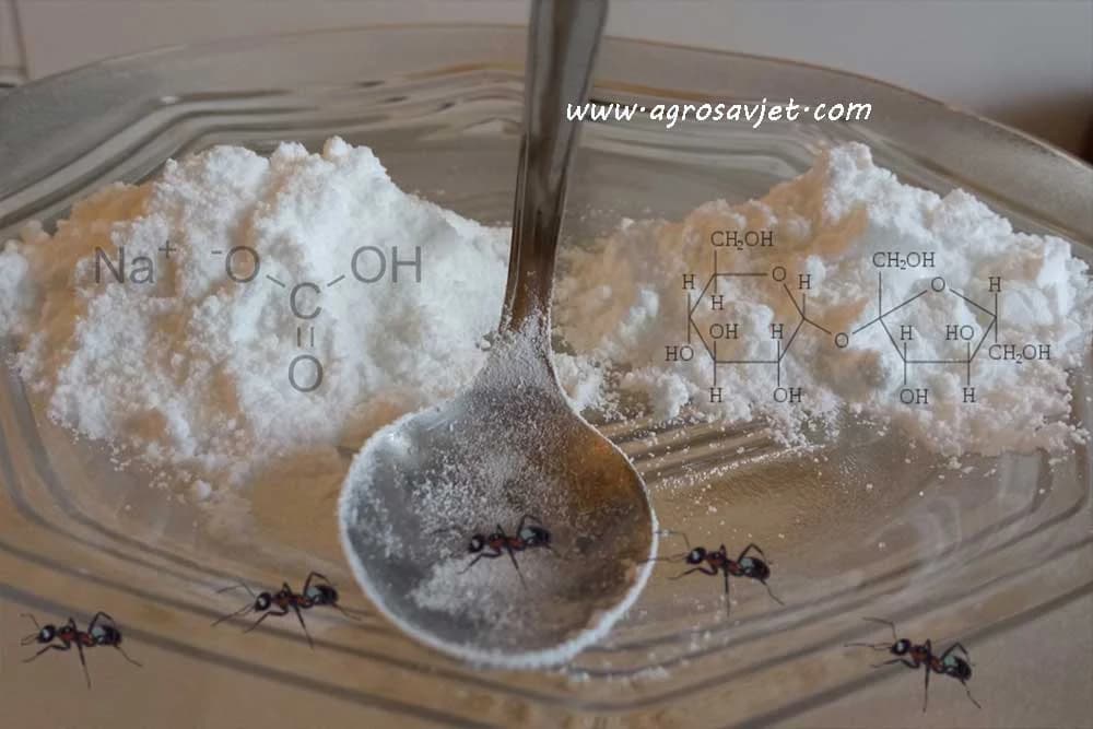 Soda bikarbona