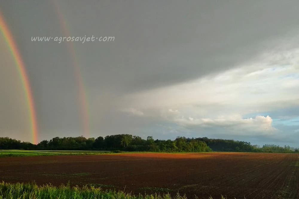 Poljoprivredno zemljište