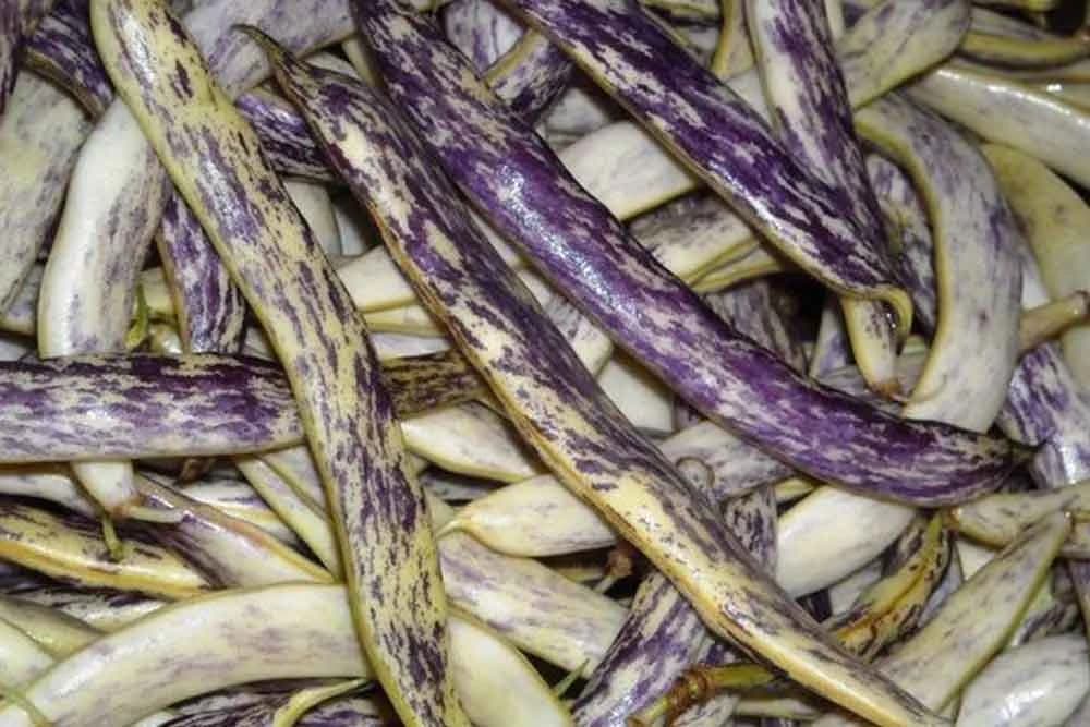 Niske sorte booranije