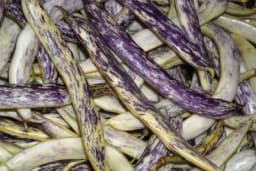 Niske sorte boranije