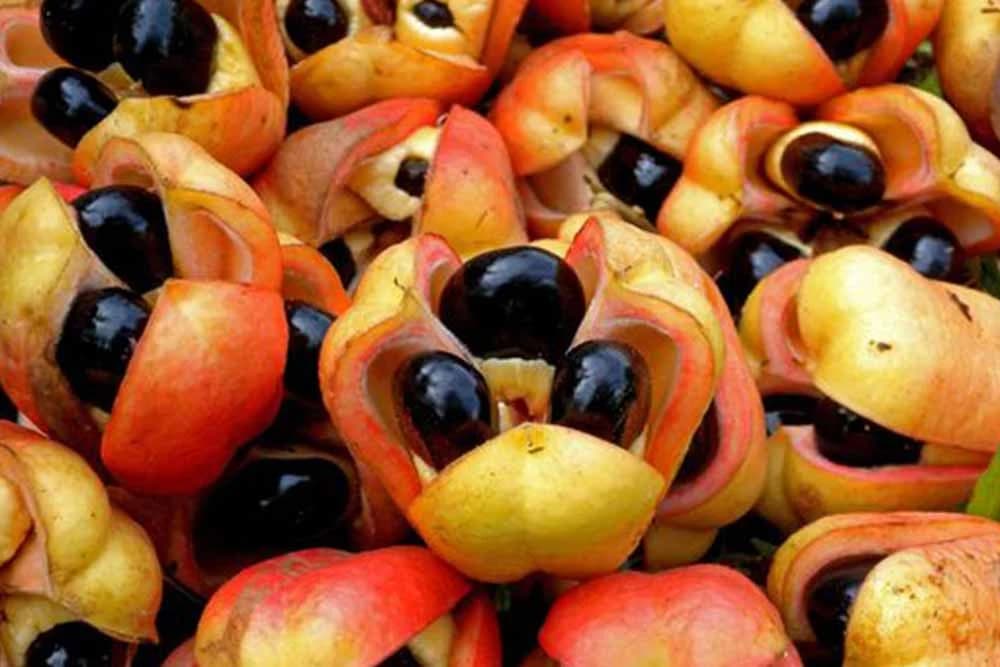 Ackee