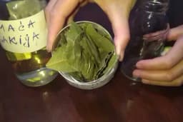 Lovorov list u rakiji ili maslinovom ulju - Lijek koje je dobro imati u kući