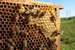 Sprečavanje početka grabeži